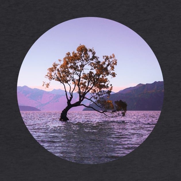 Alone Tree in the middle of the river by Aziz